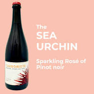 Carboniste Sparkling Rosé of Pinot Noir-Sea Urchin 2022